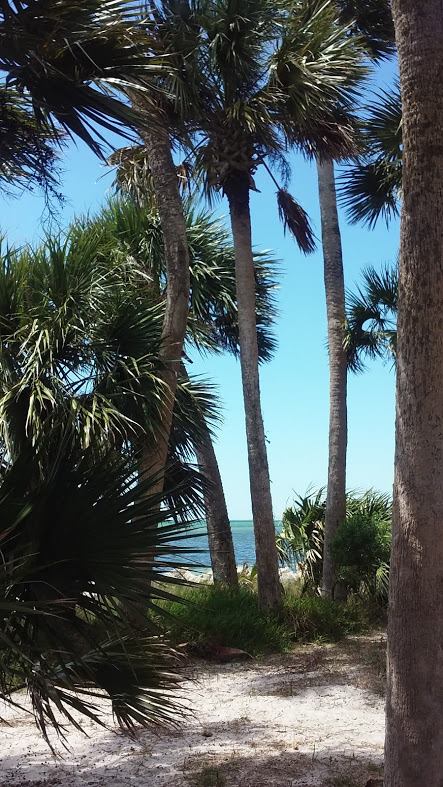 tropical wonderland